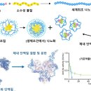 나노네이처 이미지