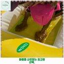 드린겐 애견테마파크 | 신현동 애견카페 레인바우 애견카페 가격 및 후기 추천 리뷰 주차 예약 알아봐요