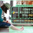 농업회사법인주식회사 솔잎
