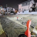 대학약국 이미지