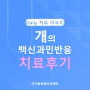 과천우주동물병원 | 과천시 동물병원, 강아지 백신 과민반응 치료후기