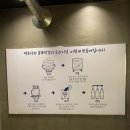 예산시장&gt;예산상설시장, 백종원 거리, 예산 맛집(선봉국수,금오바베큐,골목양조장, 신광정육점 등) 후기