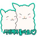 더스완 이미지