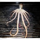 항아리펜션민박 이미지