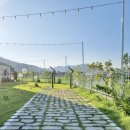 풀 스테이 햅번 | ღ 프라이빗하고 노래방,수영장은 기본으로 있는 풀 스테이 햅번 칠곡 풀빌라 독채 솔직후기