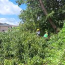 삼죽축구장 이미지