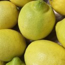 향단농장 이미지