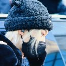 마이캣 이미지