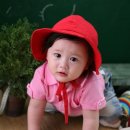 섬결 이미지