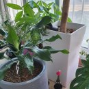 갈릴리수산 이미지