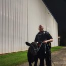 송아지농장 이미지