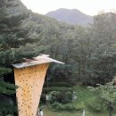 mug공대