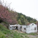 풍호초등학교사거리 이미지