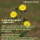 삶, 수필이다 이미지