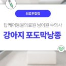 탑 동물병원 이미지
