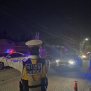 서귀포 자치경찰대 이미지