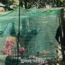 오대양목욕탕 | 나는 신이다 넷플릭스 신작 충격의 다큐멘터리