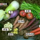 장 건강 개선하는 방법은 이미지