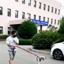 도담네트워크