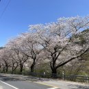 양지회센터 이미지