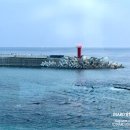 미미네집 이미지