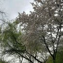 양촌리 생삼겹살 이미지