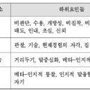 MBSR과 심리치료에서 마음챙김의 의미와 위상 이미지