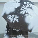 (유)민주 이미지