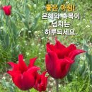 복산천 이미지