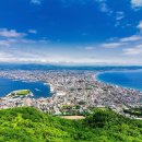 롯데관광개발㈜ 이미지