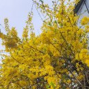 덕동농장 이미지