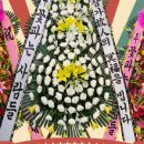 주식회사센스 이미지