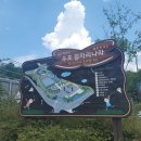 우포 잠자리 나라 이미지