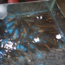 이야기가있는바다 이미지