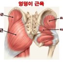 Zerone Gym 이미지