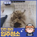 인천 청라 입주청소 후기-창틀 낙엽부터 물때제거까지!