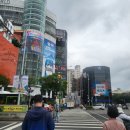 대만 예스지 9,900원 버스 투어 후기 착한투어