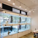 행복을줄개 이미지