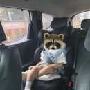이이소 | 두돌 아기 카시트 변경 _ 다이치 이노픽스 주니어 이이소픽스 카시트