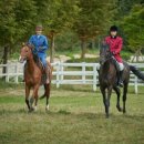 1980민박 | 넷플릭스애마 넷플릭스가 재해석한 1980년대, 욕망과 억압 사이의 드라마