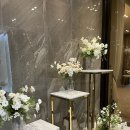 서구네(모닝하우스) | [wedding #3] 대구 웨딩홀 투어 후기 / 퀸벨호텔 브리에가든홀, M스타하우스 모닝스타홀