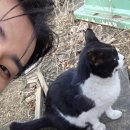빌드업