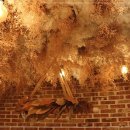 느루가게 이미지