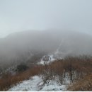 1월19일(일요당일)금원/기백산 눈꽃산행 이미지