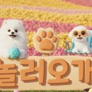 놀러오개 이미지