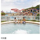 홍천리버하우스 | (강원도 홍천) 2025.09.14(일) 가족들과 함께 오션월드 2인권, 구명조끼, 준비물, 아쿠아슈즈 필수...