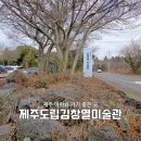 제주도립 김창열미술관 | 제주도립 김창열미술관 후기｜5살 아이와 다녀온 물방울 예술 여행