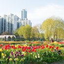 안양천(좌안) 이미지