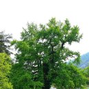 시왕목장 이미지