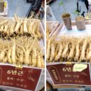 태양인삼사